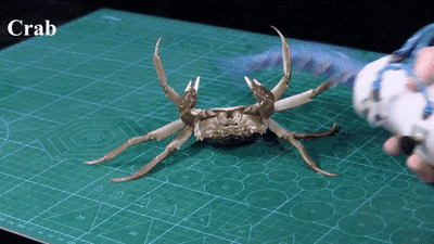 ezgif-6-e4c1cec7f4de.gif