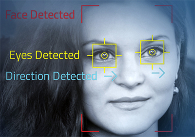 OVTdetectionM.jpg