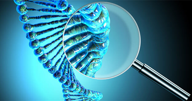 dna.jpg