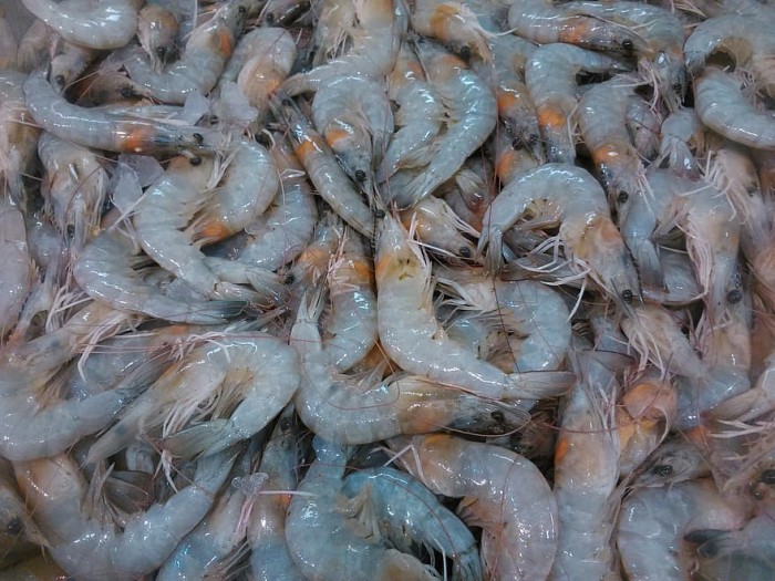 shrimp-fauna-food-lunch-asian-cuisine-meal-seafood-traditional.jpg