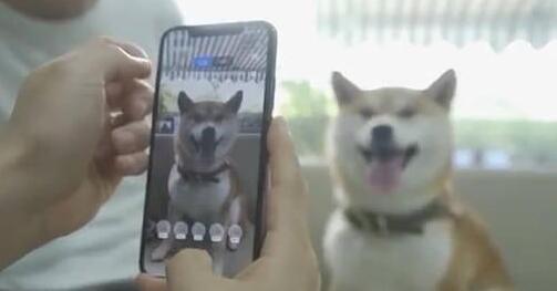 QQ截图20200722114649.jpg