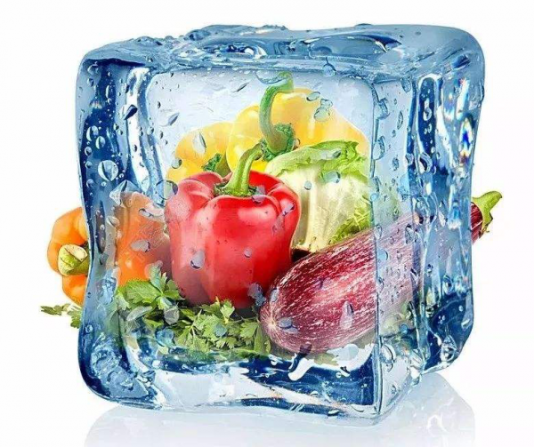 GPRS冷链运输温湿度监测系统的应用及功能