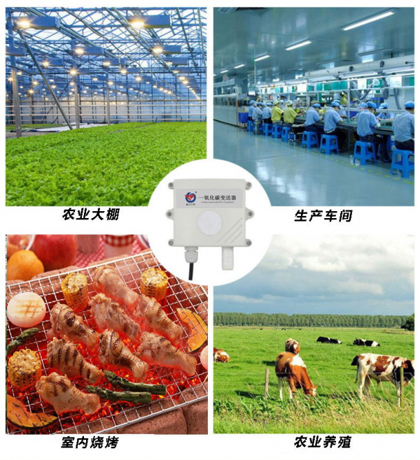 一氧化碳变送器提醒您:室内烧烤请注意安全 一氧化碳变送器提醒您:室内烧烤请注意安全