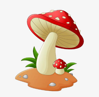 为何蘑菇种植大棚中要使用抗高湿二氧化碳传感器模块