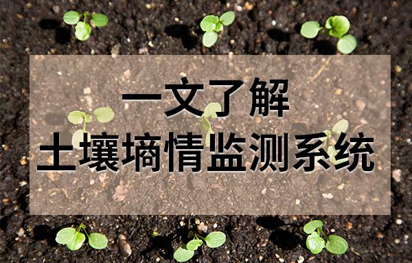 一文了解土壤墒情监测系统