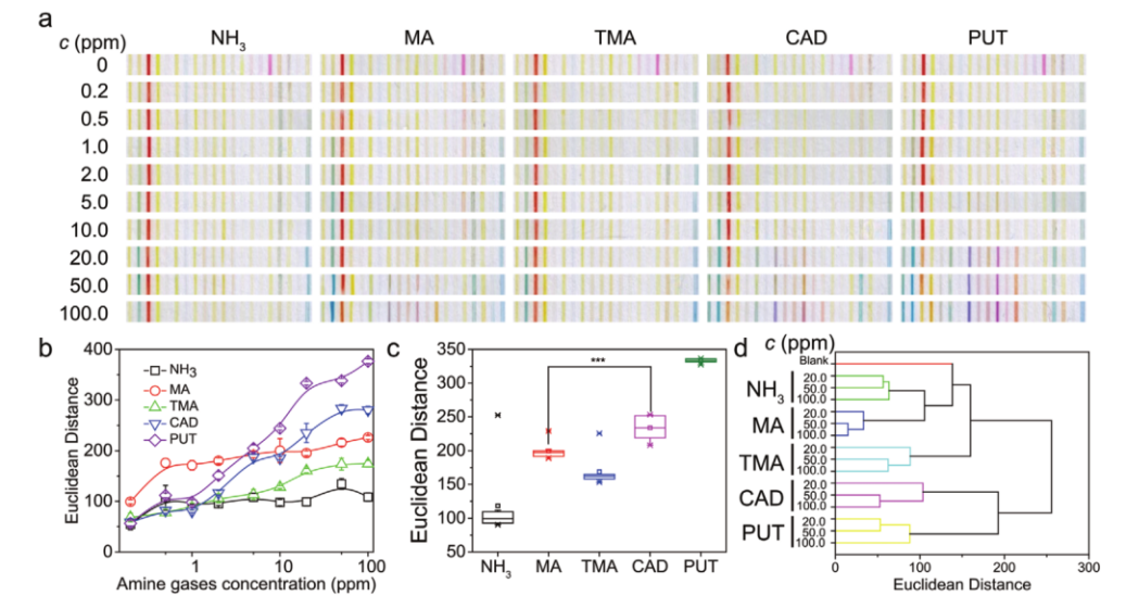 AI芯天下丨新锐丨模仿哺乳动物的嗅觉系统,仿生“电子鼻”也能行? AI芯天下丨新锐丨模仿哺乳动物的嗅觉系统,仿生“电子鼻”也能行?