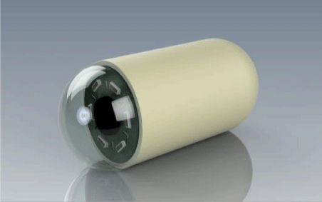 APM-5-116-g001.gif
