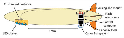 1618468589789856.jpg Schematic-overview-of-GEOMAR-Remus-6000-AUV-500x153.jpg