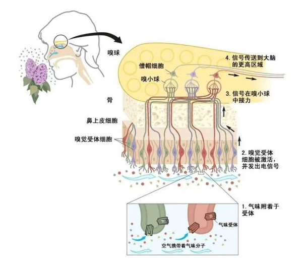 微信截图_20210802094628.png