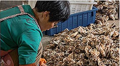 政府工作报告聚焦乡村振兴