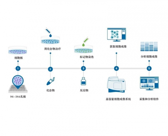 核酸检测的背后，生物实验室自动化如何革新？