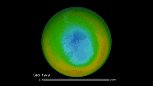ezgif-1-d663c83cd8.gif