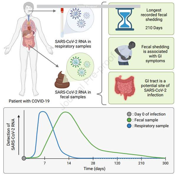 新冠患者确诊7个多月后