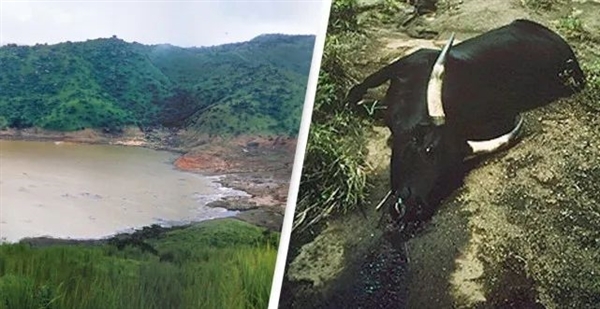 非洲一湖泊从蓝色变成血红色！1746人窒息而亡