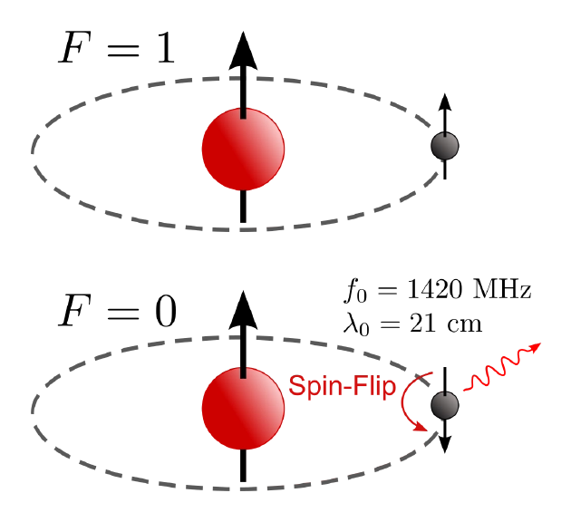 当一个氢原子形成时,其中电子和质子的自旋方向有50%的可能性相同、50%的可能性相反。如果相反,电子就不会再发生跃迁。如果相同,电子就可能跃迁到更低的能态上,释放出一个特定波长的光子,这一过程的时间尺度相当长。