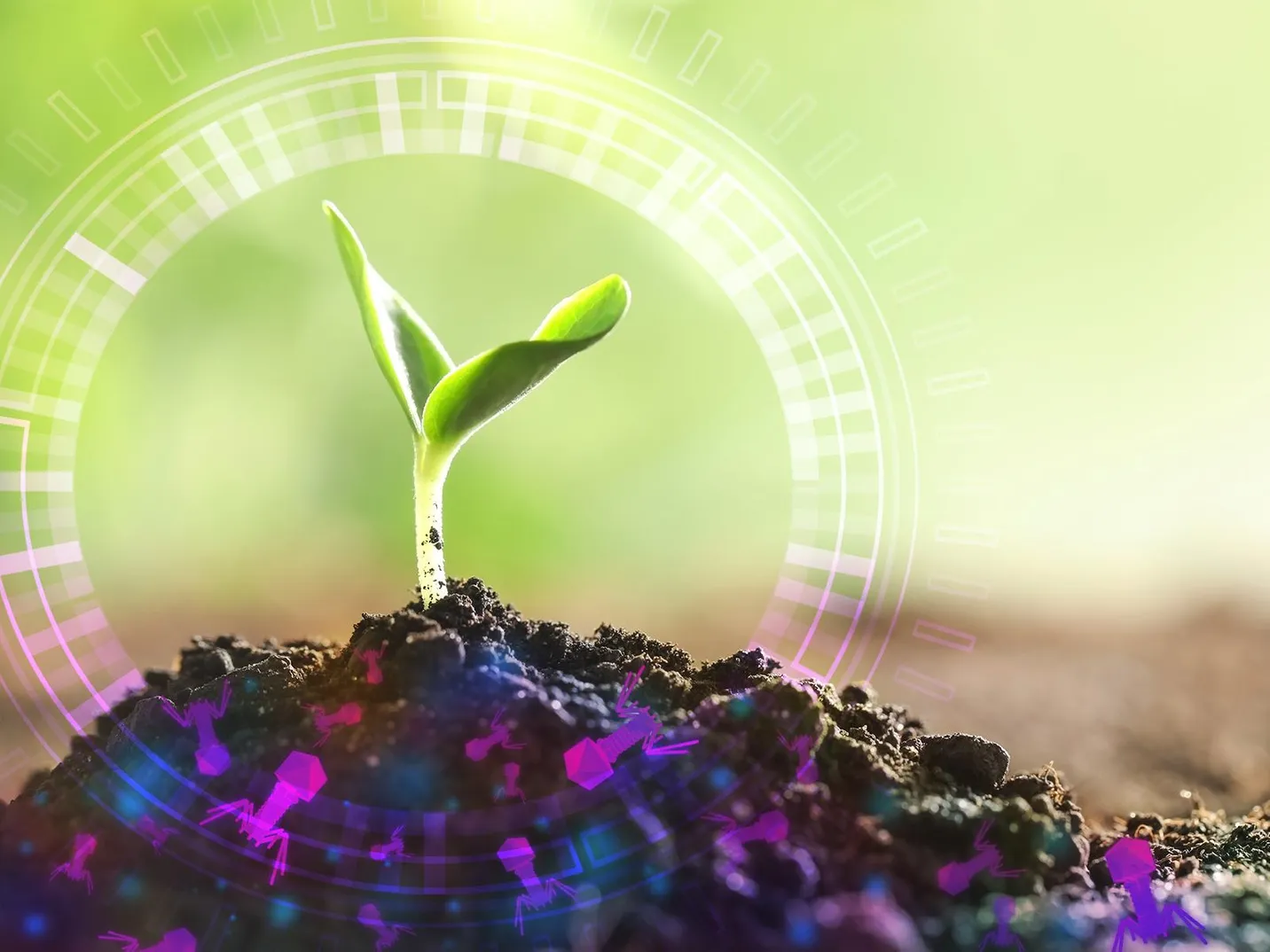 Soil-Viruses-PNNL.webp