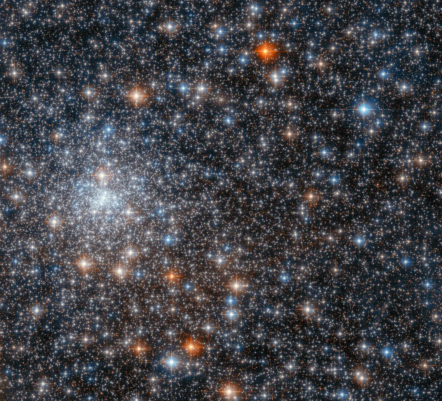 vvlt993r.webp