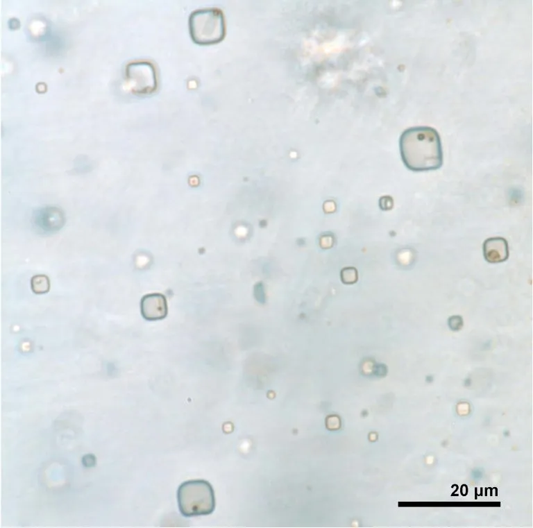 Fluid-Inclusions-With-Microorganisms-768x761.webp