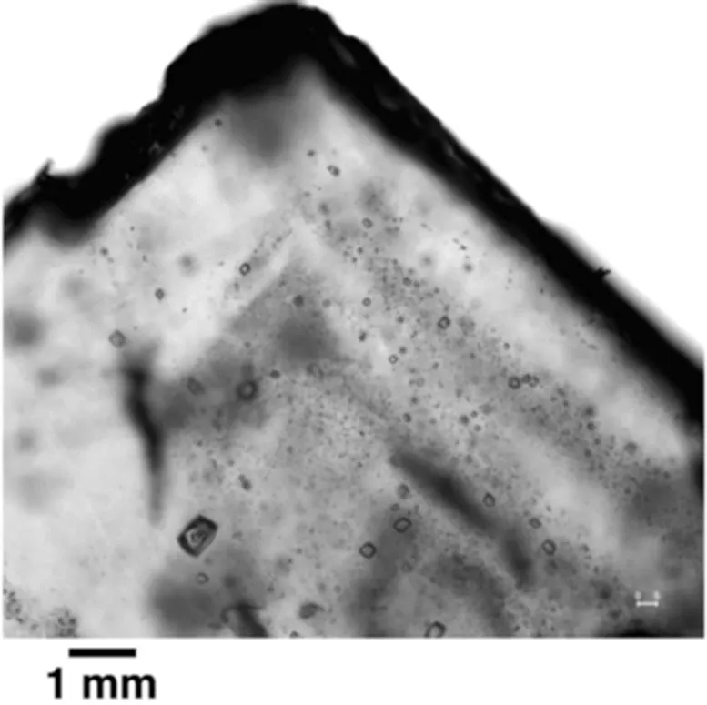 Fluid-Inclusions-in-Halite.webp