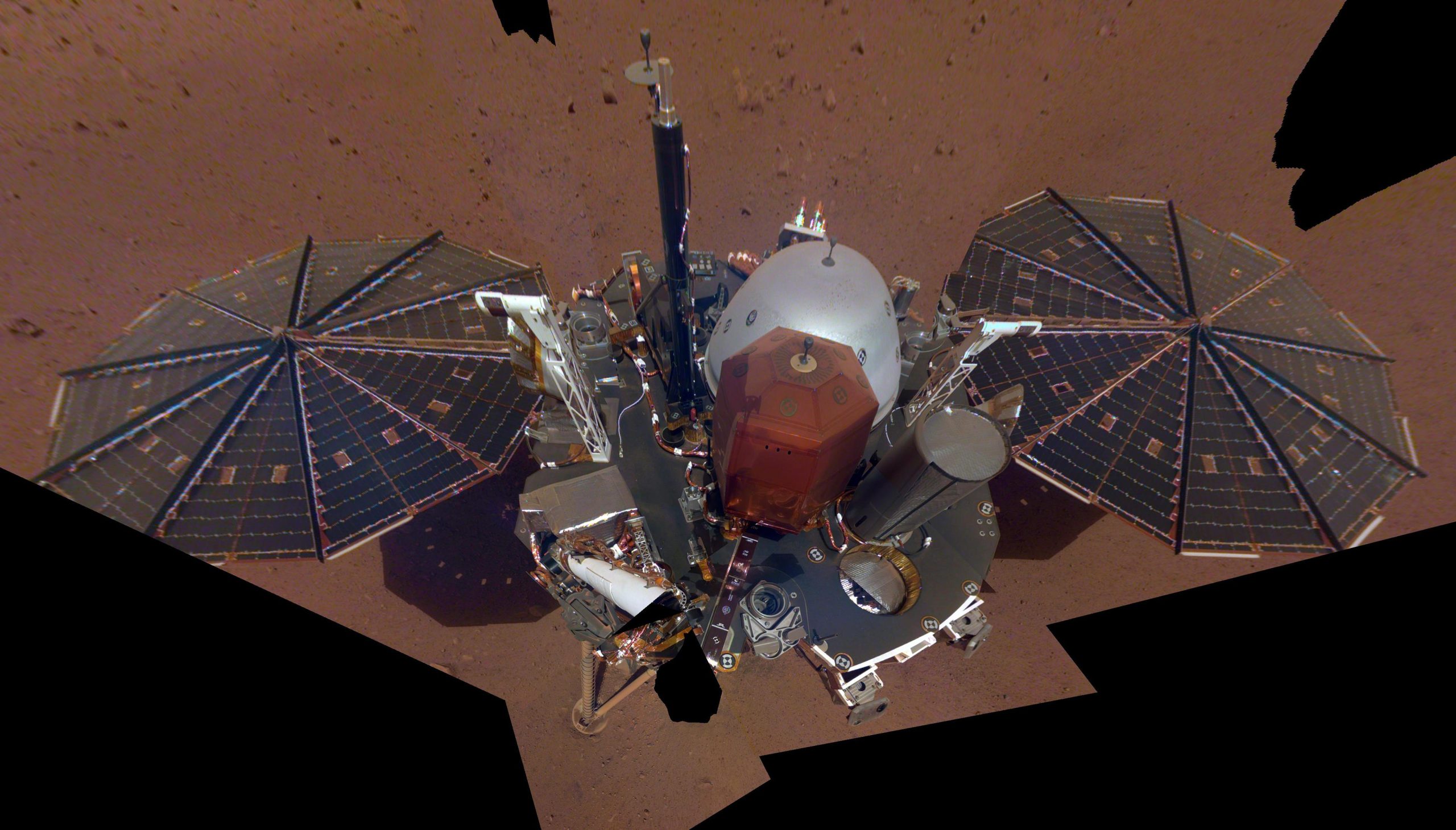 last-insight-selfie.webp