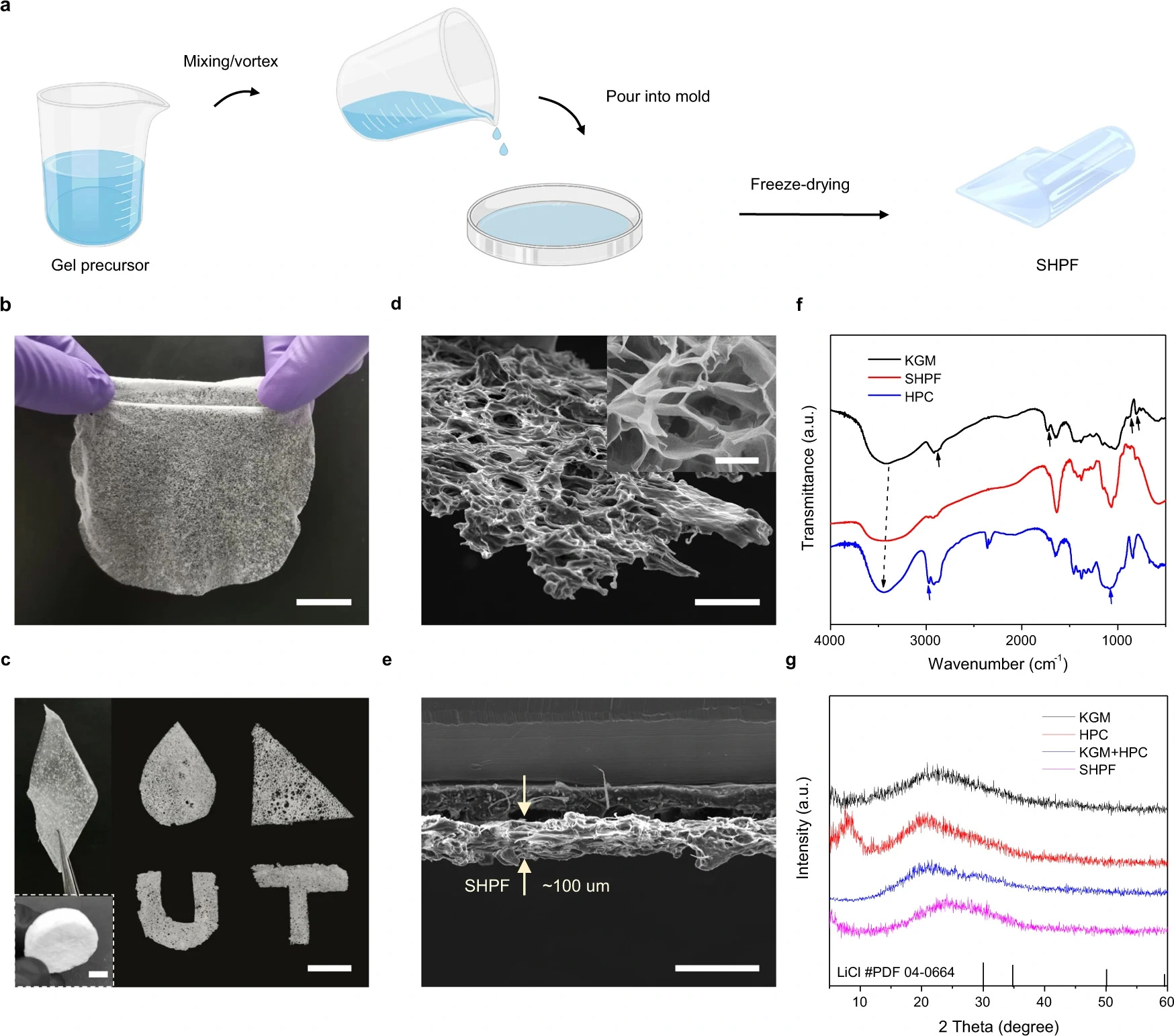 how-to-make-water-absorbing-gel.webp