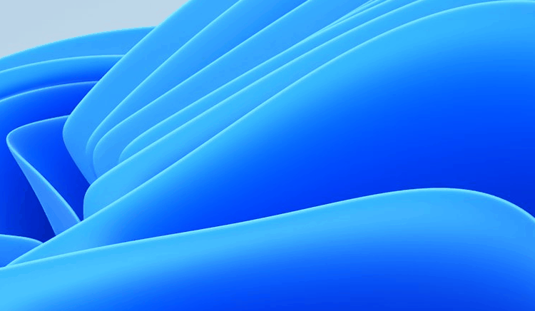 Win11