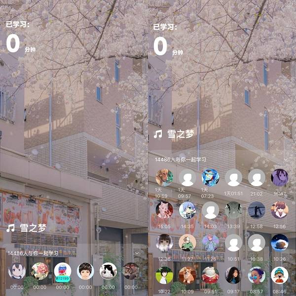 在读懂年轻人这件事上，波点音乐做对了什么？