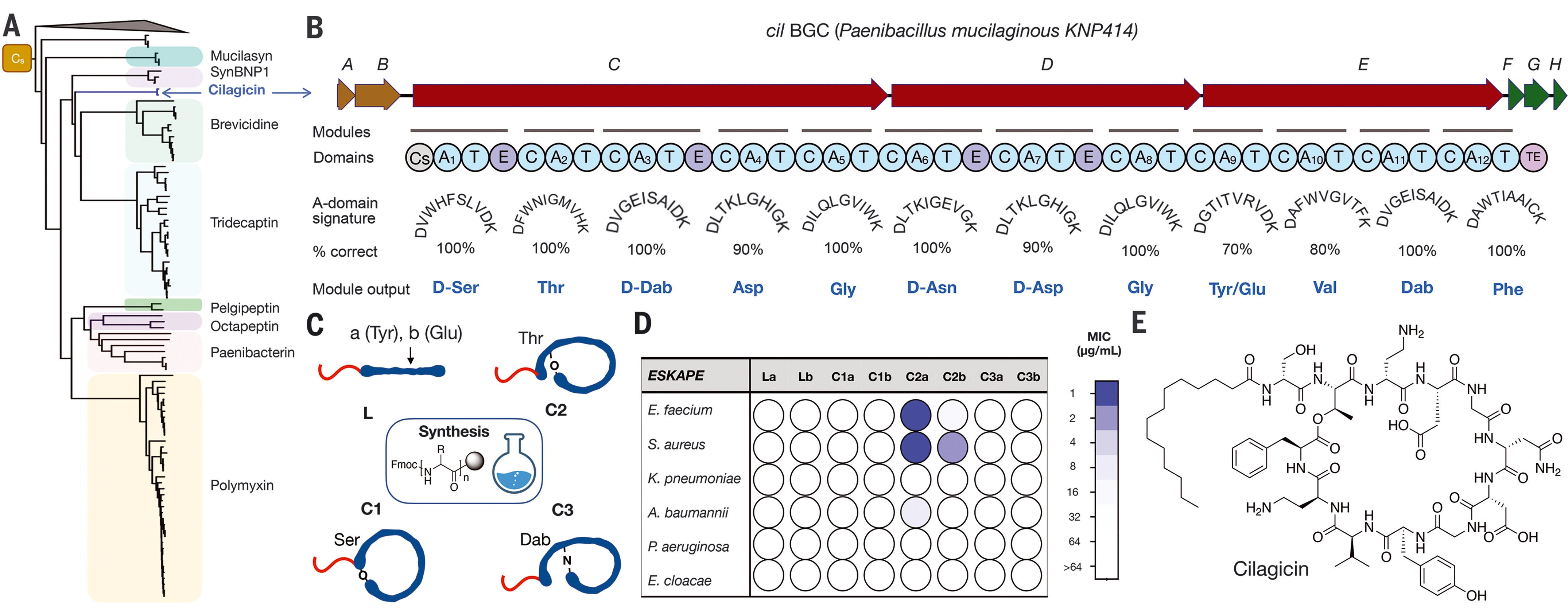 science.webp