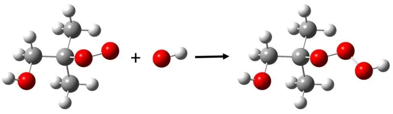 2.webp