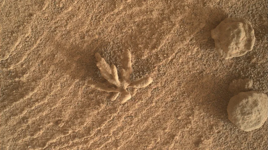 curiositymahliminerals2.webp
