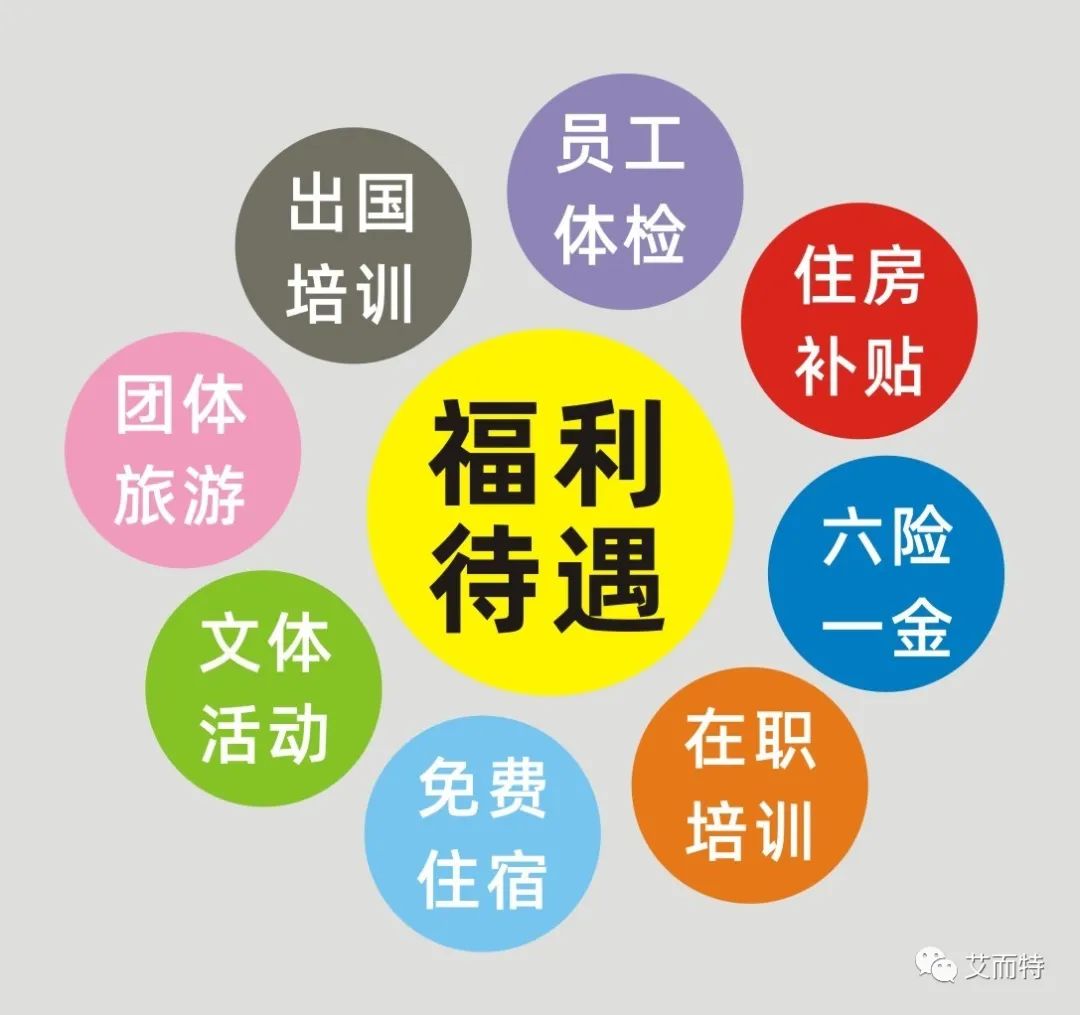 艾而特
