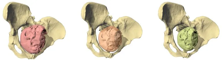 Birth-Simulation-Lucy-768x208.webp