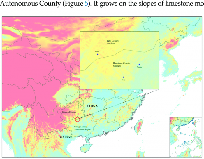 Distribution-records-of-Smilax-weniae-P-Li-ZC-Qi-Yan-Liu-sp-nov-blue-stars.png