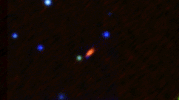 ezgif-5-46fc3405e9.gif