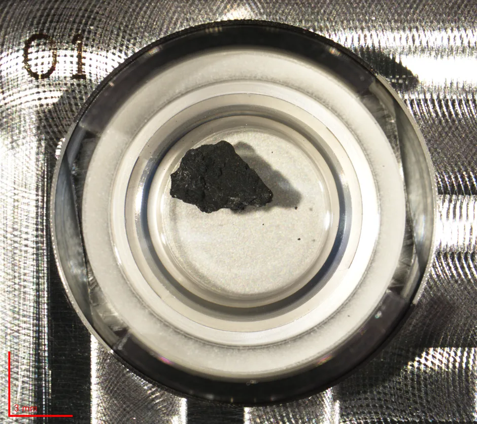 a0011-microscope-image-202101191431-resize.webp
