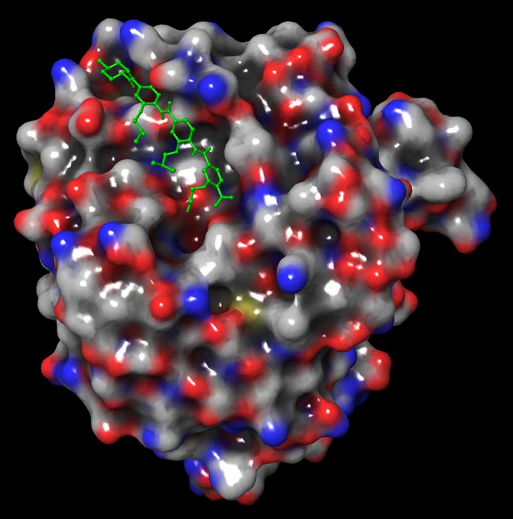 科学家合成ERX-41新化合物，或成为三阴性乳腺癌的潜在治疗选择