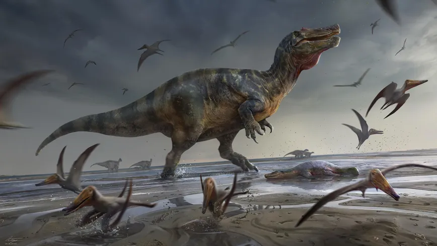 white-rock-spinosaurid-by-anthony-hutchings.webp