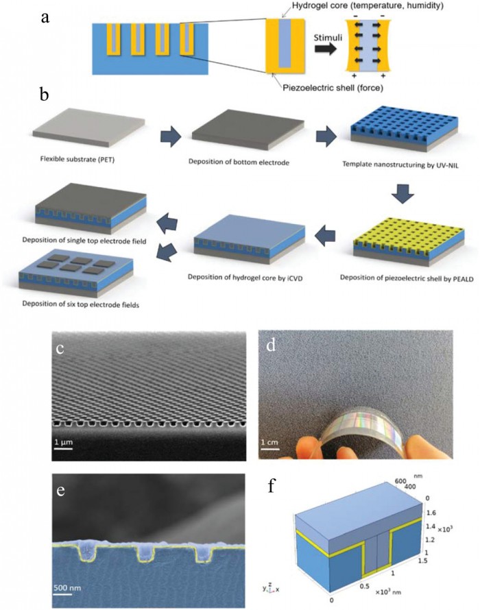 admt202200246-fig-0001-m.jpg