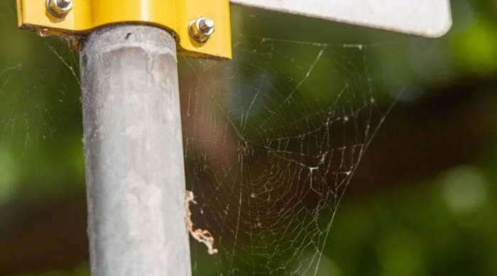 1~4W@[%CC7LV76X$4[Z)`BG.png