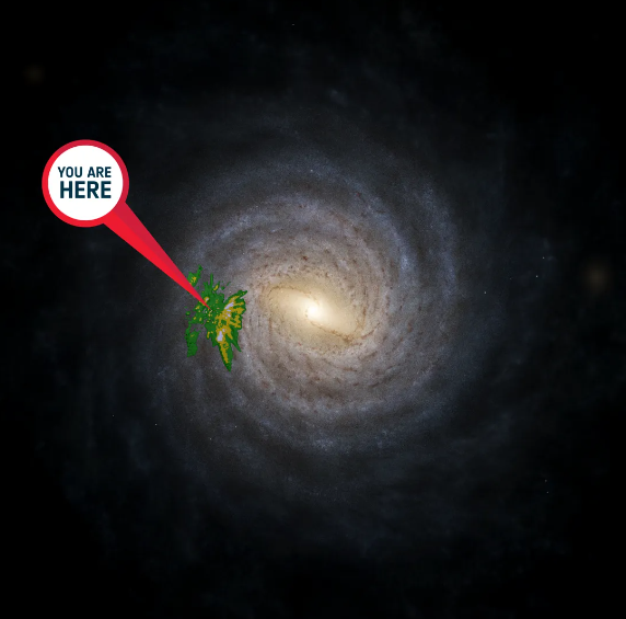 7.png
