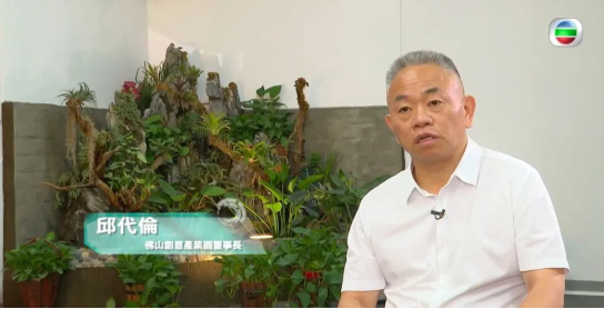 香港电视TVB锁定大湾区夜经济地标一佛山创意产业园