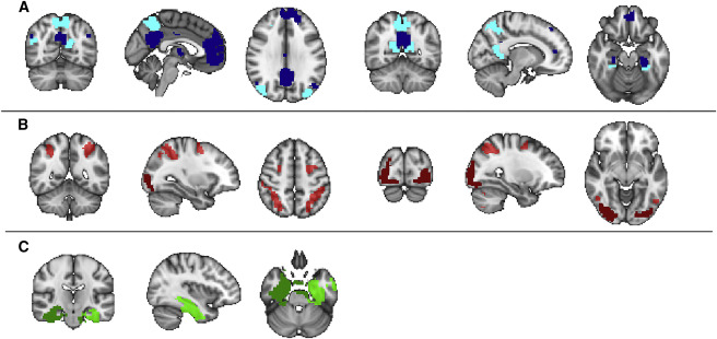 1-s2.0-S0896627317300879-gr3.jpg