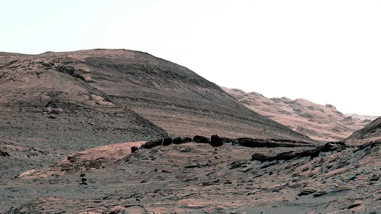 curiosity-marches-on-1656023900.webp