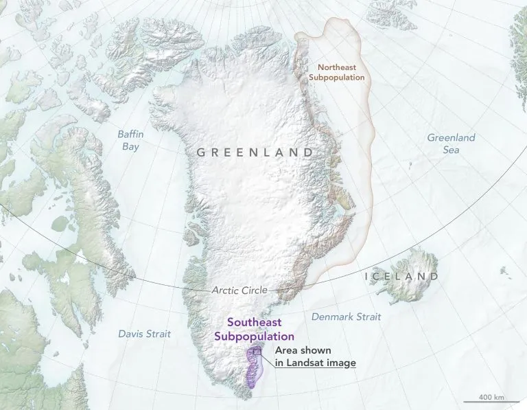 Southeast-Greenland-Polar-Bear-Habitat-Map-768x597.webp