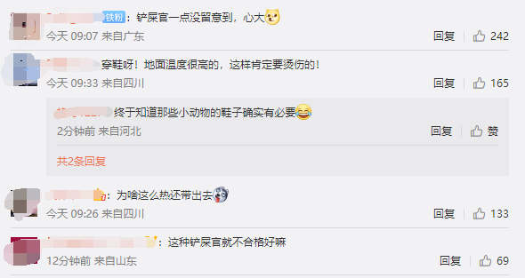 今年三伏天长达40天!四川热过吐鲁番:小狗被地面烫得来回换脚